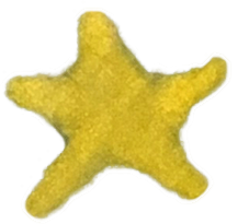 watercolor of a star